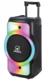N-GEAR The Flash Juke 12